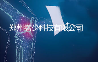 郑州嵩少科技有限公司