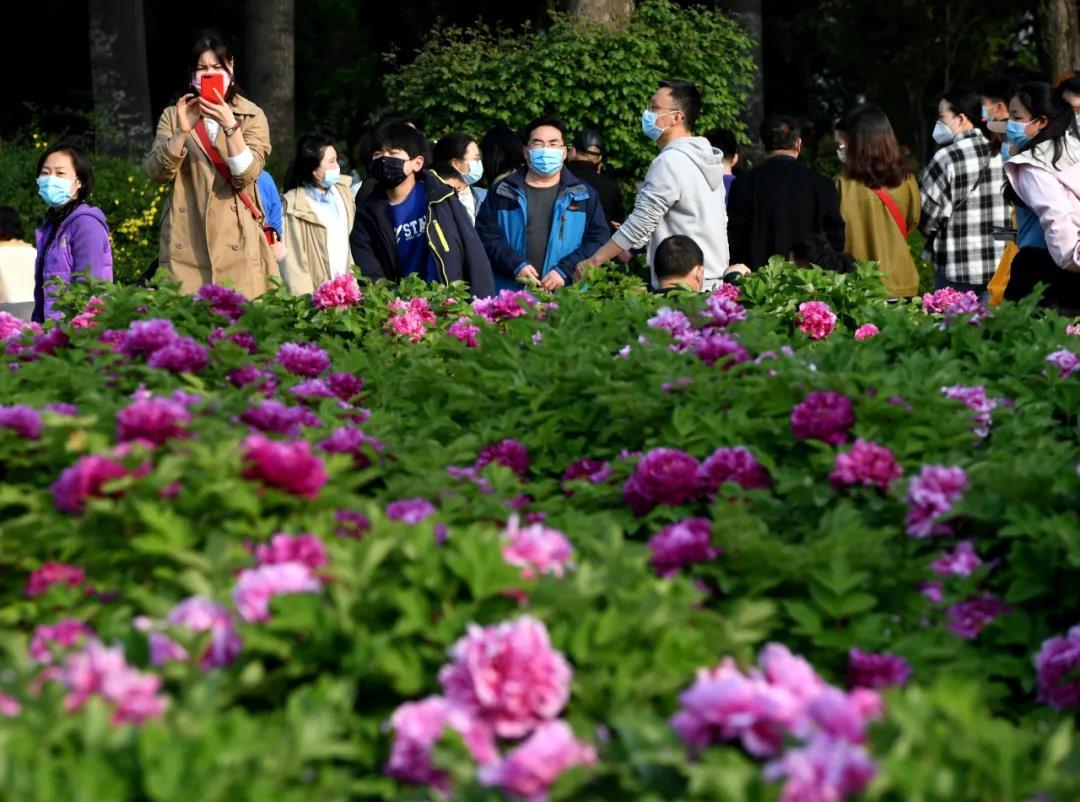 2024郑州市碧沙岗公园游玩攻略,郑州的碧沙岗公园是郑州排名...【去哪儿攻略】
